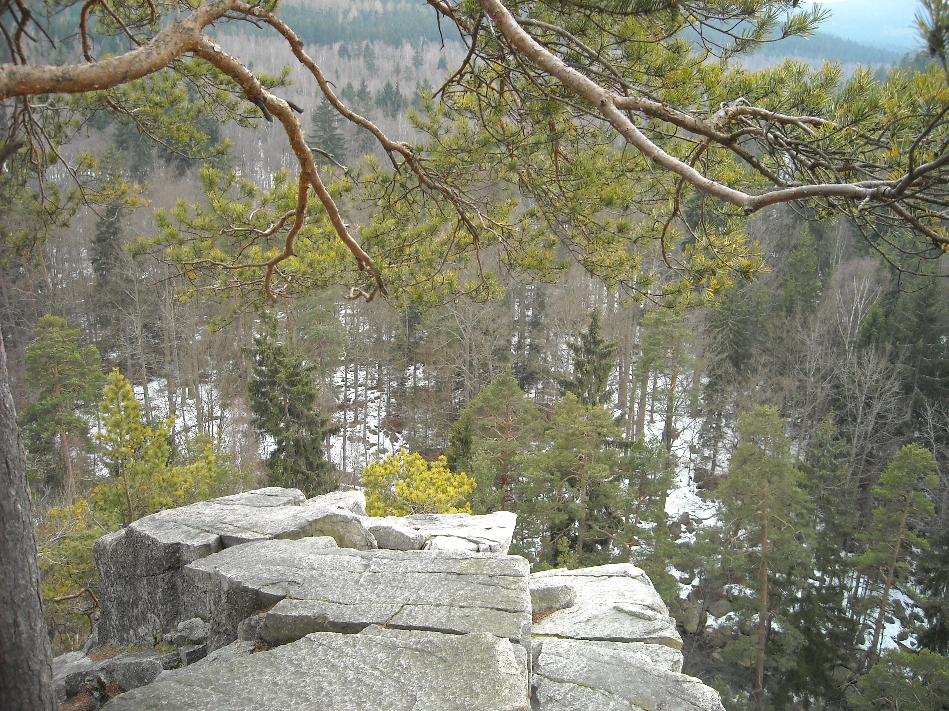 DSCN0158.JPG