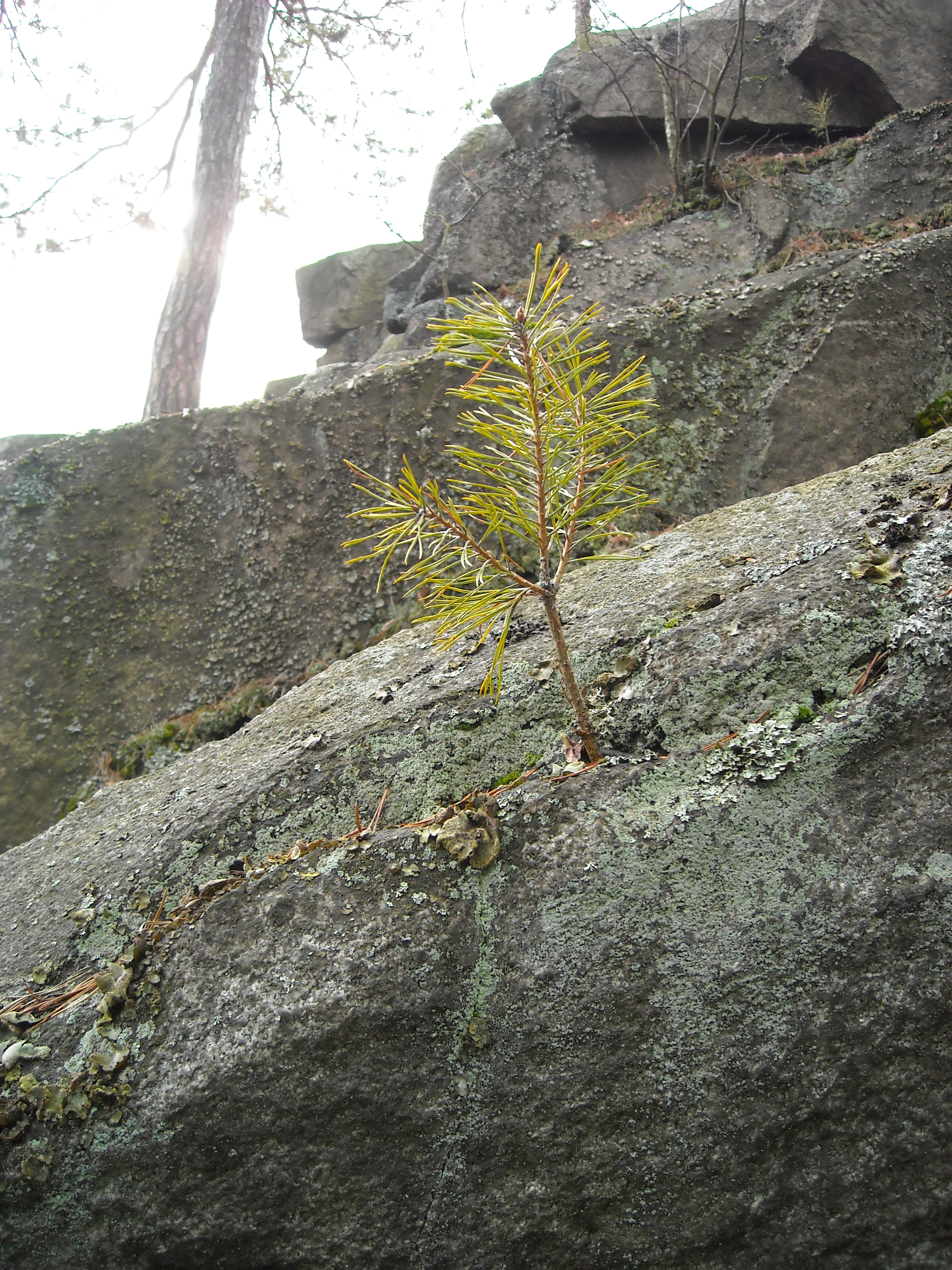 DSCN0165.JPG